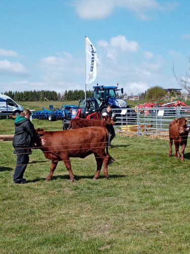 img_5755-mv0Je05bZvipoGZR