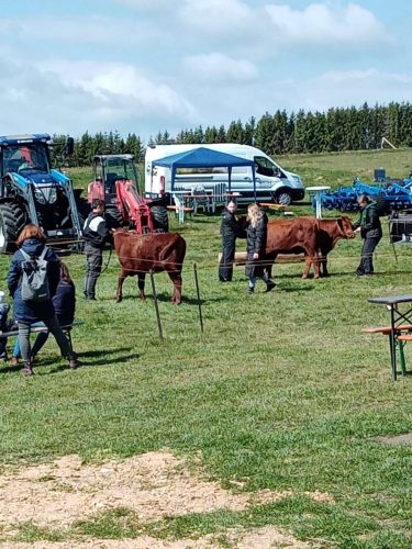 img_5756-YD0w908oQMTW98oY